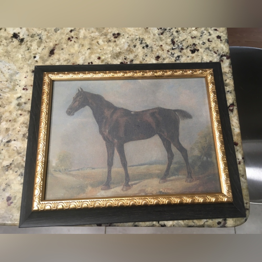 Threshold Black and Gold Framed Horse Art